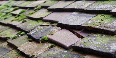 Beckenham roof repair costs